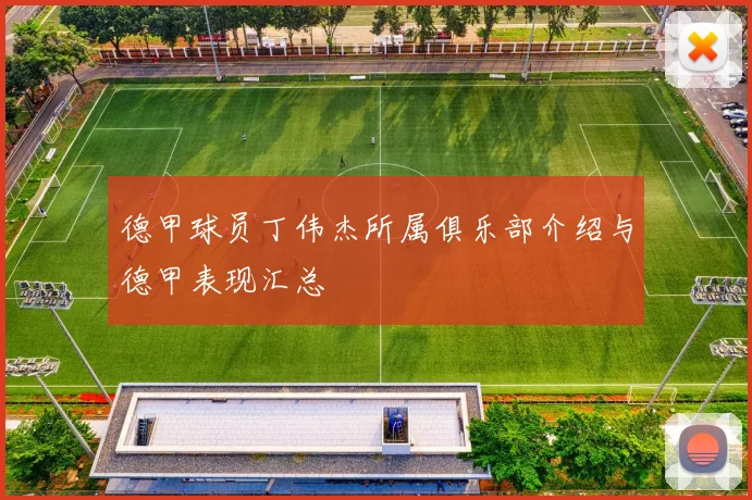 德甲球员丁伟杰所属俱乐部介绍与德甲表现汇总