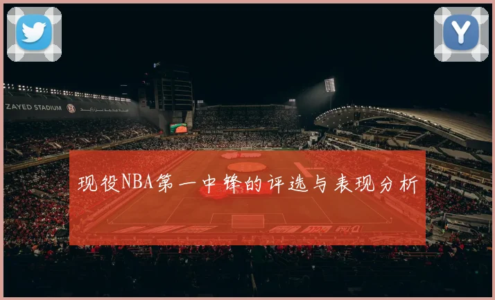 现役NBA第一中锋的评选与表现分析