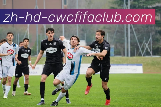 多媒体互动体验